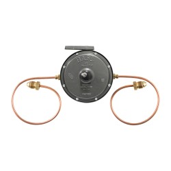 REGULADOR P/GAS IUSA 2 VIA 201