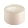 TAPON CAPA CPVC 19MM